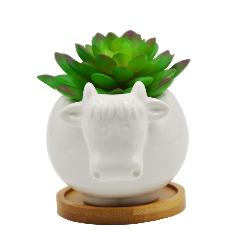 Cuteforyou Succulent Pots,Cute Cartoon Cow Shaped Ceramic Succulent Cactus Flower Pot,Pencil Holders,Desk Accessories, Makeup Brush Storage Stand-Plant Not Included (with Tray) - Image 1